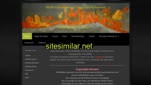 heinz-dieter-müller.de alternative sites