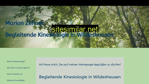 Zehner-kinesiologie similar sites
