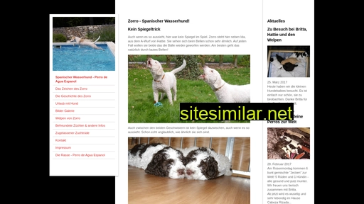zorro-spanischerwasserhund.de alternative sites