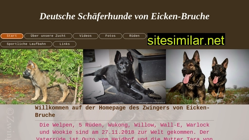 zwinger-von-eicken-bruche.de alternative sites