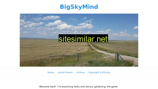 bigskymind.dev alternative sites