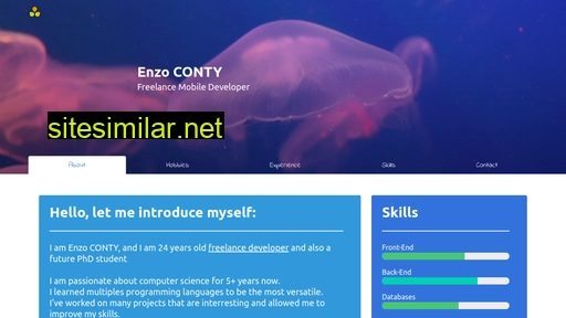 enzoconty.dev alternative sites