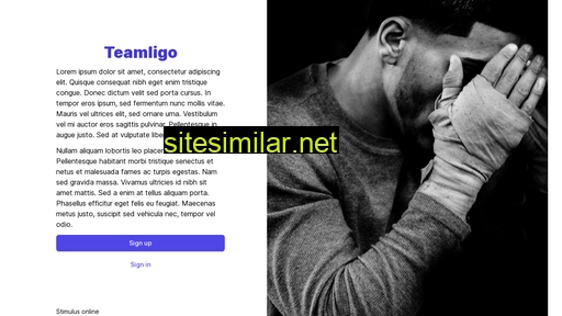 Teamligo similar sites