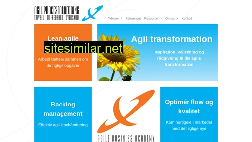 agil-procesforbedring.dk alternative sites
