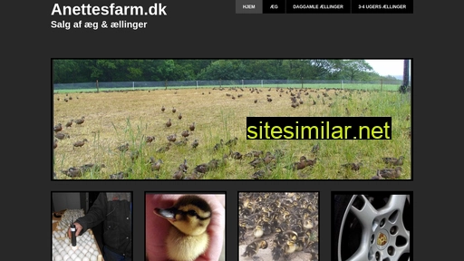anettesfarm.dk alternative sites