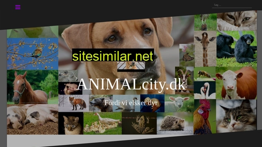 animalcity.dk alternative sites
