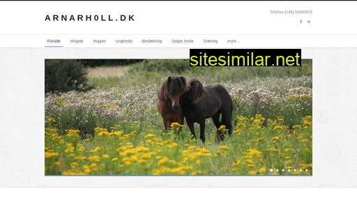 arnarholl.dk alternative sites