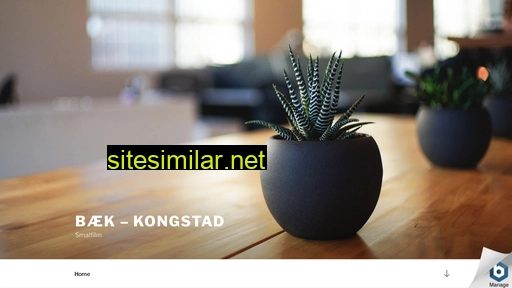 baek-kongstad.dk alternative sites