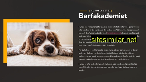 barfakademiet.dk alternative sites