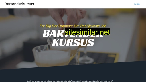 bartenderkursus.dk alternative sites