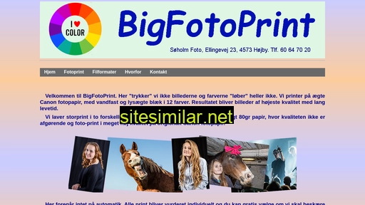 bigfotoprint.dk alternative sites