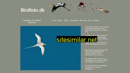 Birdfoto similar sites