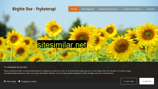 birgittedue-psykoterapi.dk alternative sites