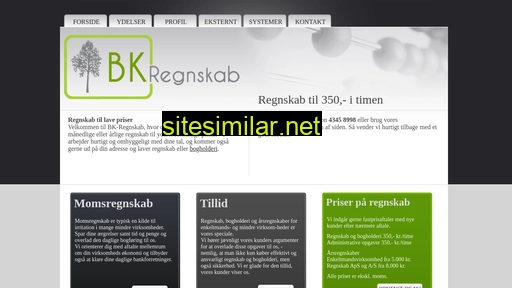 bk-regnskab.dk alternative sites