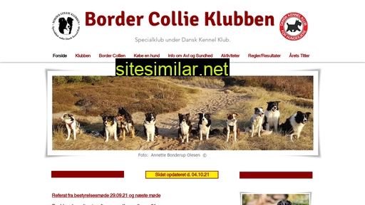bordercollieklubben.dk alternative sites
