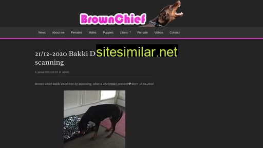 brownchief.dk alternative sites