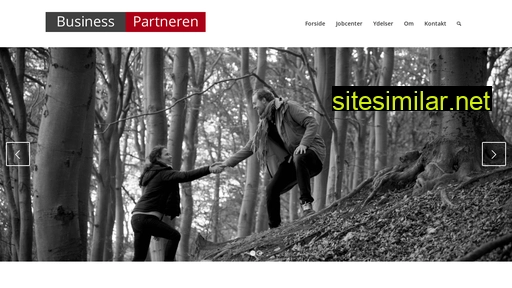 businesspartneren.dk alternative sites