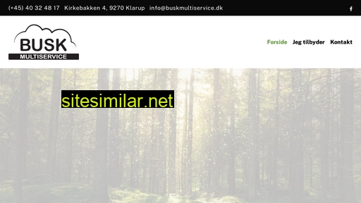 buskmultiservice.dk alternative sites