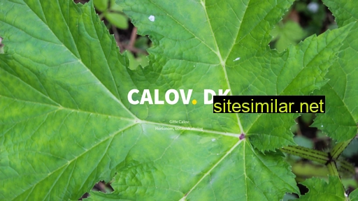 calov.dk alternative sites