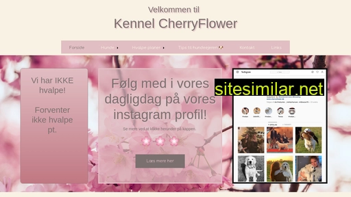 cherryflower.dk alternative sites
