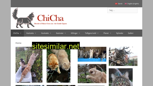 chicha.dk alternative sites