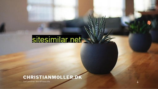 christianmoller.dk alternative sites