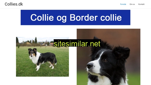 collies.dk alternative sites