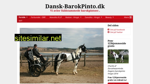 dansk-barokpinto.dk alternative sites
