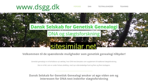 dsgg.dk alternative sites