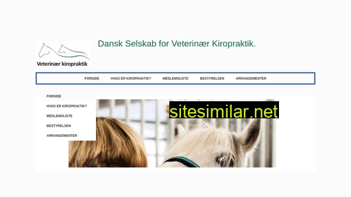 dsvk.dk alternative sites
