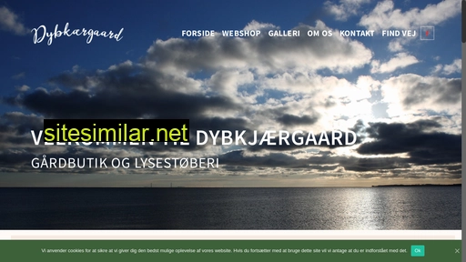 dybkaergaard.dk alternative sites