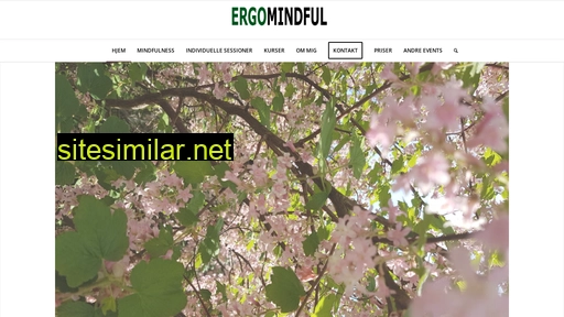 ergomindful.dk alternative sites