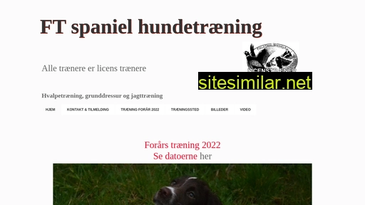 ftspanieltraening.dk alternative sites