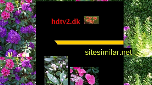 hdtv2.dk alternative sites