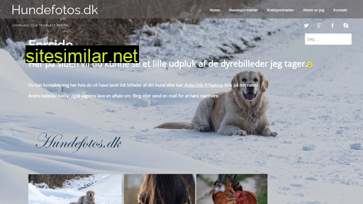 hundefotos.dk alternative sites