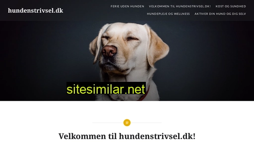 hundenstrivsel.dk alternative sites