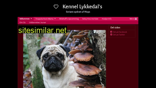 kennel-lykkedal.dk alternative sites