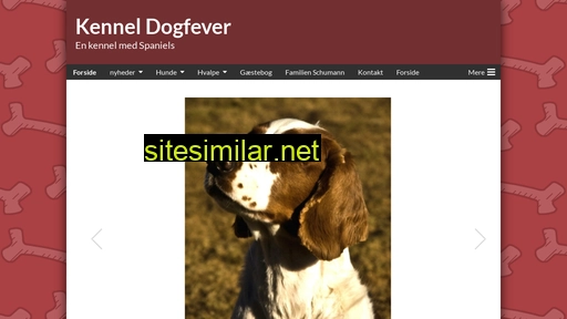 kenneldogfever.dk alternative sites
