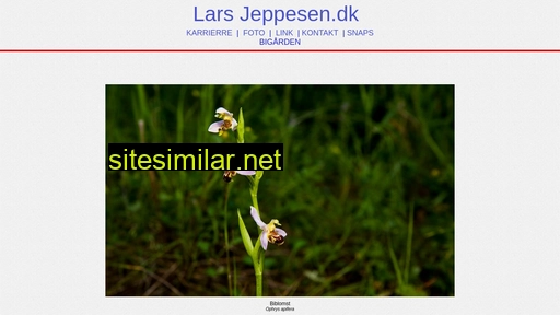 larsjeppesen.dk alternative sites