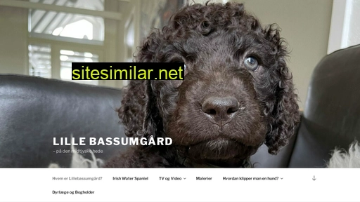 lillebassumgaard.dk alternative sites