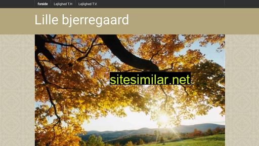 lillebjerregaard.dk alternative sites
