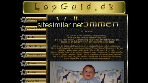 lopguld.dk alternative sites