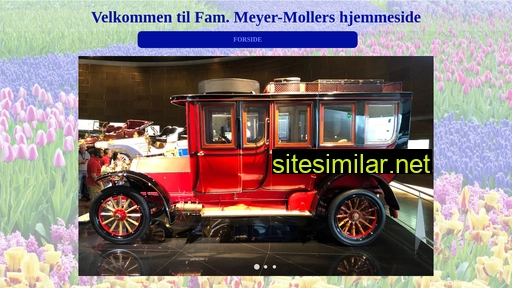 meyer-moller.dk alternative sites