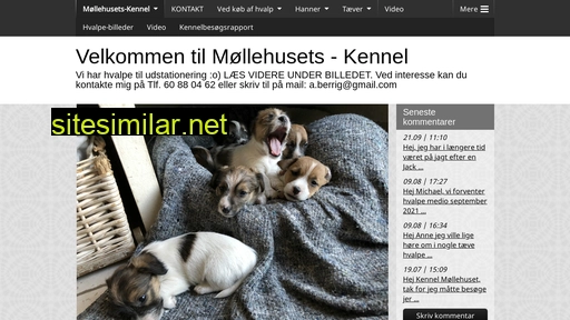 moellehusets-kennel.dk alternative sites