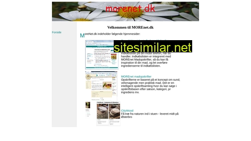 morenet.dk alternative sites