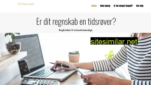 msregnskab.dk alternative sites