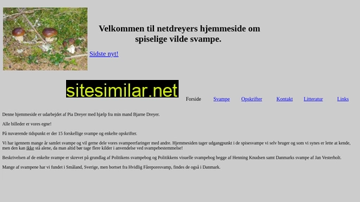 netdreyer.dk alternative sites