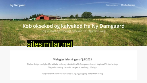 ny-damgaard.dk alternative sites