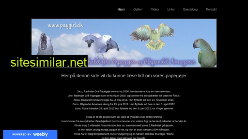 paygirl.dk alternative sites