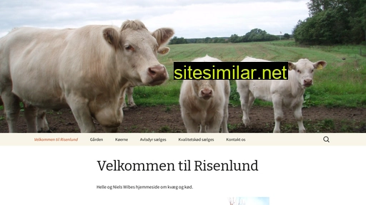 risenlund.dk alternative sites